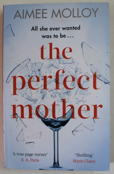 THE PERFECT MOTHER by AIMEE MOLLOY , 2019 ,