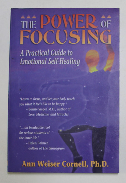 THE POWER OF FOCUSING - A PRACTICAL GUIDE TO EMOTIONAL SELF - HEALING by ANN WEISER CORNELL , 1996