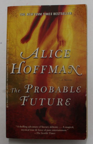 THE PROBABLE FUTURE by ALICE HOFFMAN , 2004