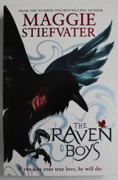 THE RAVEN BOYS by MAGGIE STIEFVATER , 2012
