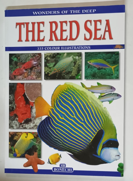 THE RED SEA , WONDERS OF THE DEEP , 335 COLOUR ILLUSTRATIONS , by ANDREA GHISOTTI , 2004