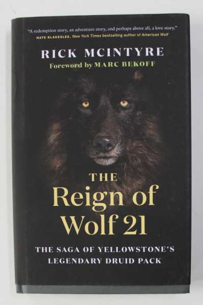 THE REIGN OF WOLF 21 - THE SAGA OF YELLOWSTONE 'S LEGENDARY DRUID PACK by RICK MCINTYRE , 2020