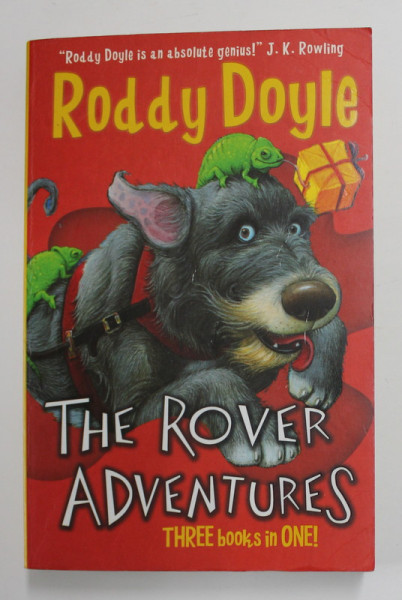 THE ROVER ADVENTURES by ROSSY DOYLE , 2008