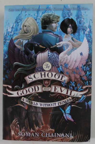 THE  SCHOOL FOR GOOD AND EVIL , A WORLD WITHOUT PRINCES by SOMAN CHAINANI , . illustrations by IACOPO BRUNO , 2014 , PREZINTA URME DE INDOIRE SI DE UZURA