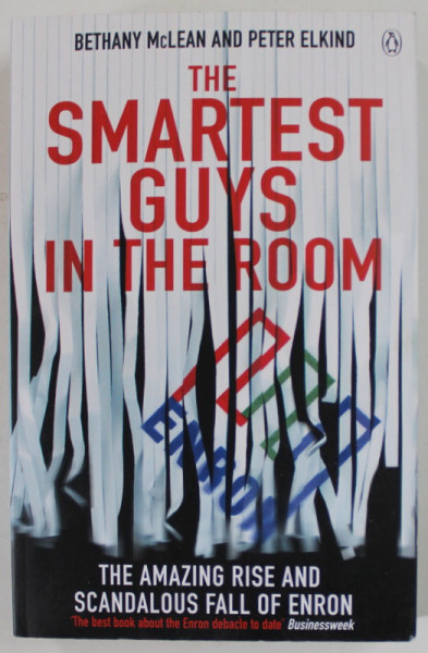 THE SMARTEST GUYS IN THE ROOM by BETHANY McLEAN and PETER ELKIND , THE AMAZING RISE AND SCANDALOUS FALL OF ENRON , 2004