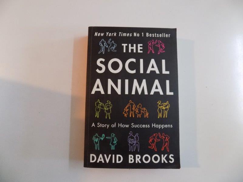 THE SOCIAL ANIMAL , A STORY OF HOW SUCCESS HAPPENS de DAVID BROOKS 2011