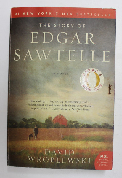 THE  STORY OF EDGAR SAWTELLE - A NOVEL by DAVID WROBLEWSKI , 2009
