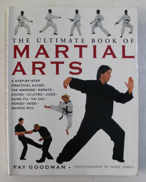 THE ULTIMATE BOOK OF MARTIAL ARTS by FAY GOODMAN , photography by MIKE JAMES , 2004