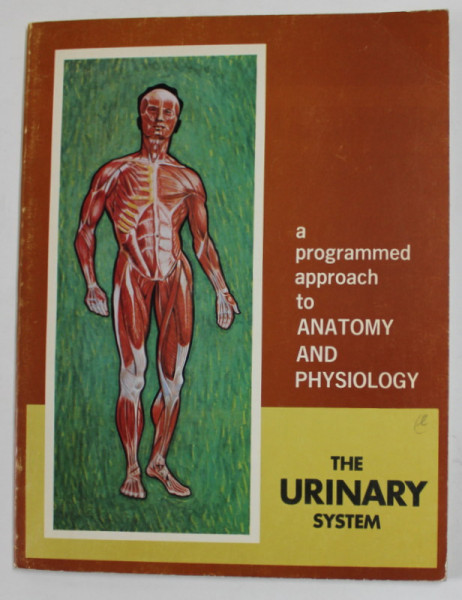 THE URINARY SYSTEM , 1970