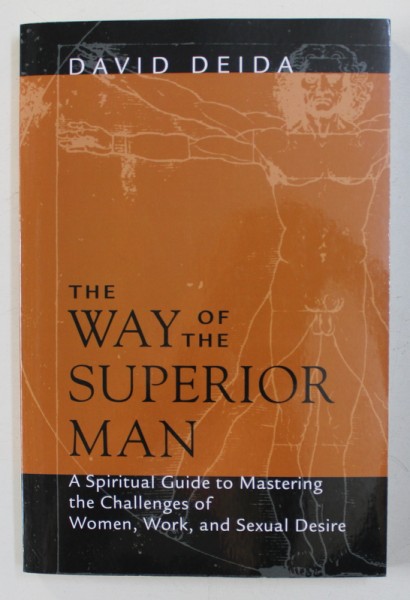 THE WAY OF THE SUPERIOR MAN by DAVID DEIDA , 2004