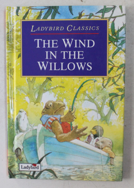 THE WIND IN THE WILLOWS by KENNETH GRAHAME , ILLUSTRATED by CLIFF WRIGHT , 1994