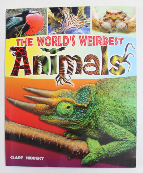 THE  WORLD 'S WEIRDEST ANIMALS by CLARE HIBBERT , 2011