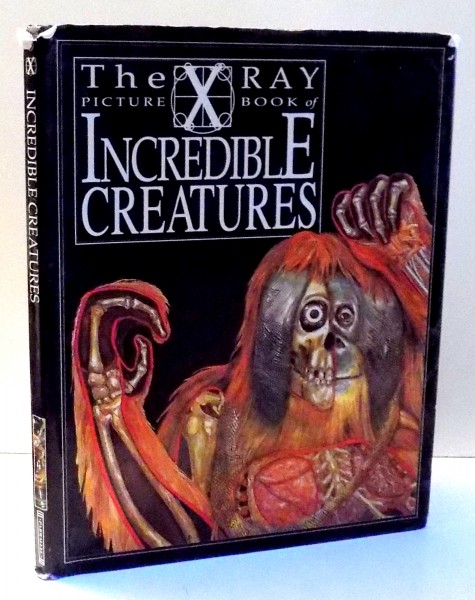 THE X-RAY PICTURE BOOK OF INCREDIBLE CREATURES by GERALD LEGG , 1995