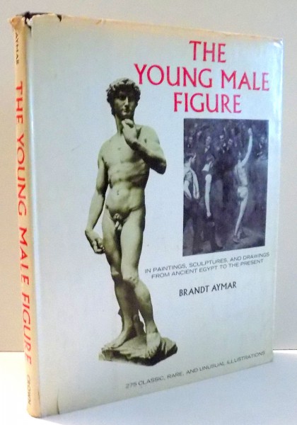 THE YOUNG MALE FIGURE by BRANDT AYMAR , 1972