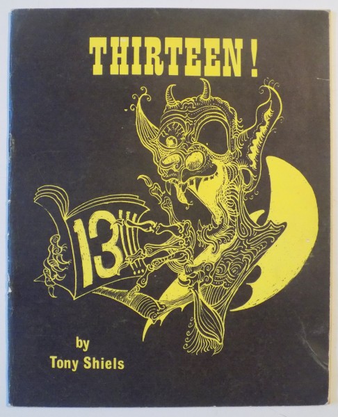 THIRTEEN by TONY SHIELS