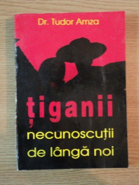TIGANII , NECUNOSCUTII DE LANGA NOI de TUDOR AMZA , 1996