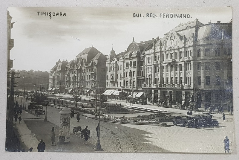 Timisoara. Bul. Reg. Ferdinand - CP Ilustrata