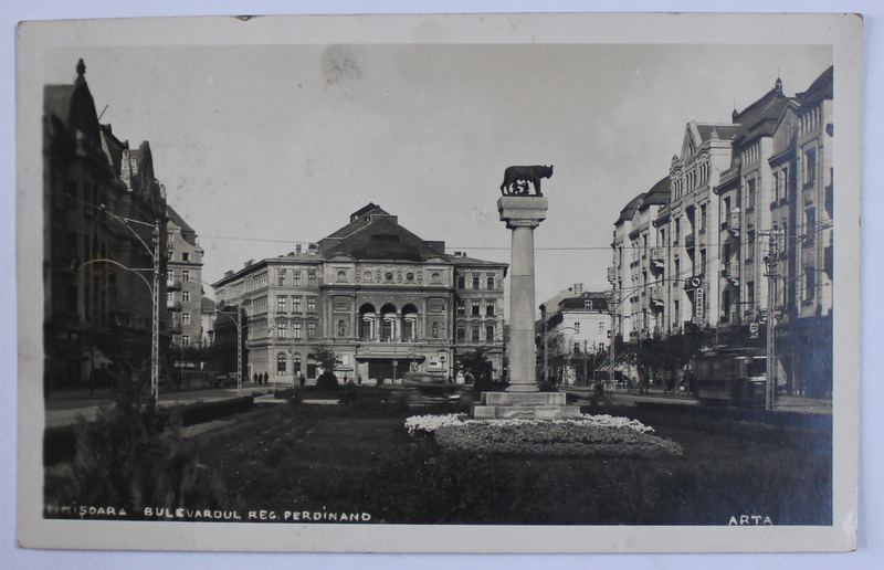 TIMISOARA , BULEVARDUL REGELE FERDINAND , CARTE POSTALA ILUSTRATA , MONOCROMA, CIRCULATA , DATATA 1934