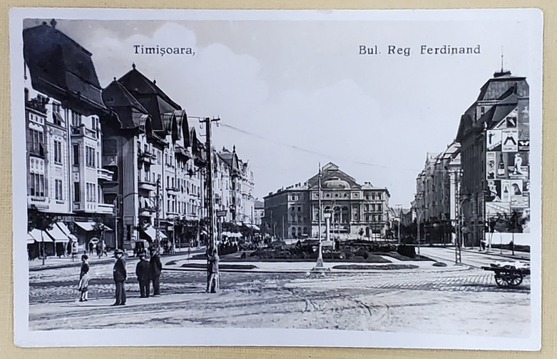 TIMISOARA , BULEVARDUL REGELE FERDINAND , CARTE POSTALA , INTERBELICA, NECIRCULATA