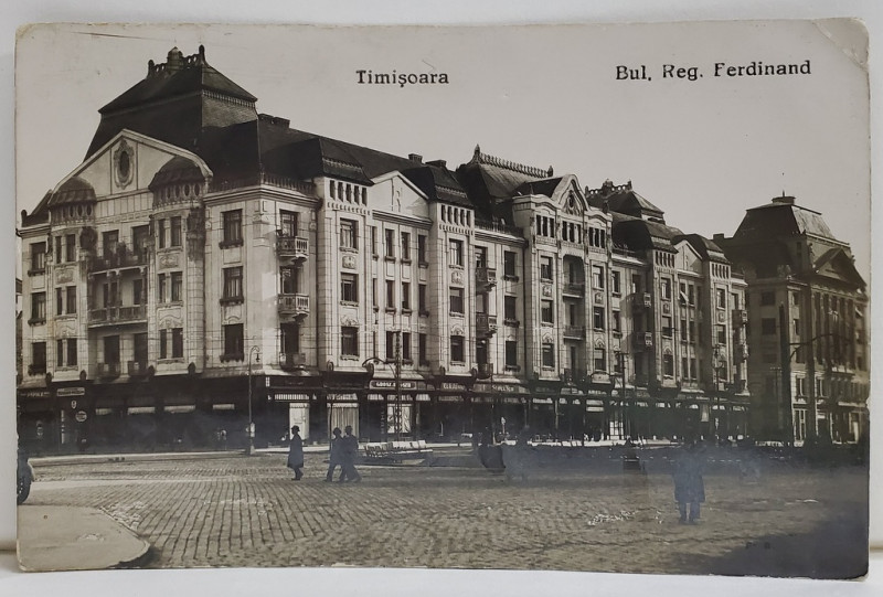 TIMISOARA , BULEVARDUL REGELE FERDINAND , CARTE POSTALA , INTERBELICA