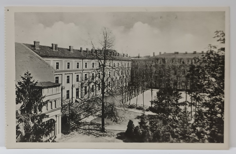 TIMISOARA , CLADIREA ORDINULUI SURORILOR DE NOTRE DAME , CARTE POSTALA ILUSTRATA , INCEPUT DE SECOL XX