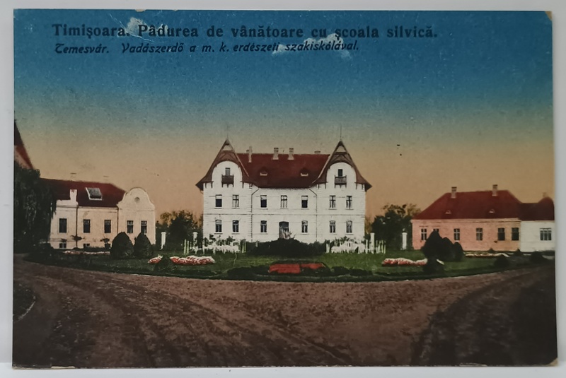 TIMISOARA , PADUREA DE VANATOARE CU SCOALA SILVICA , CARTE POSTALA , ANII '20