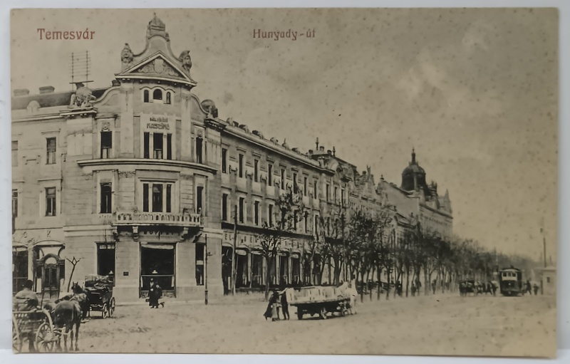 TIMISOARA , STRADA HUNYADY , CARTE POSTALA , 1914