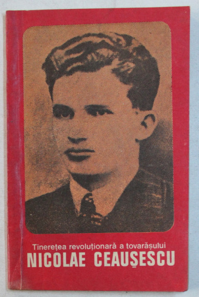 TINERETEA REVOLUTIONARA A TOVARASULUI NICOLAE CEAUSESCU de OLIMPIU MATICHESCU , 1981