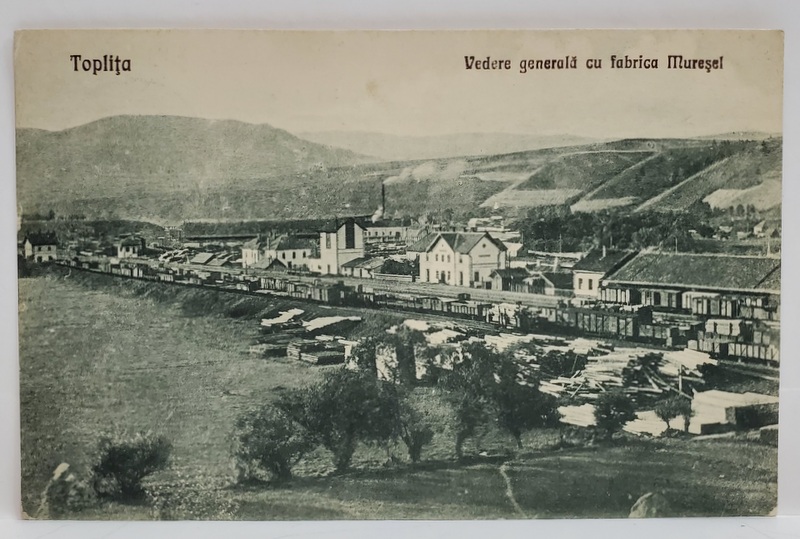 TOPLITA , VEDERE GENERALA CU FABRICA MURSEL , CARTE POSTALA , 1927