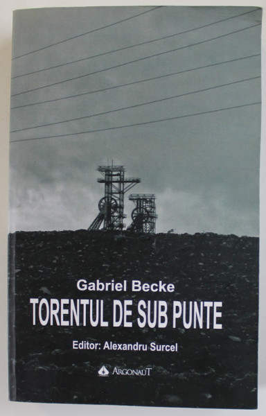 TORENTUL DE SUB PUNTE de GABRIEL BECKE , editor ALEXANDRU SURCEL ,  2018 , DEDICATIE * , PREZINTA HALOURI DE APA *
