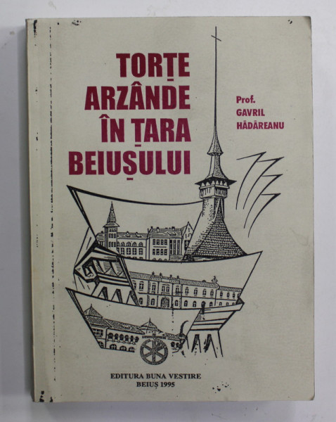 TORTE ARZANDE IN  TARA BEIUSULUI de GAVRIL HADAREANU , 1995