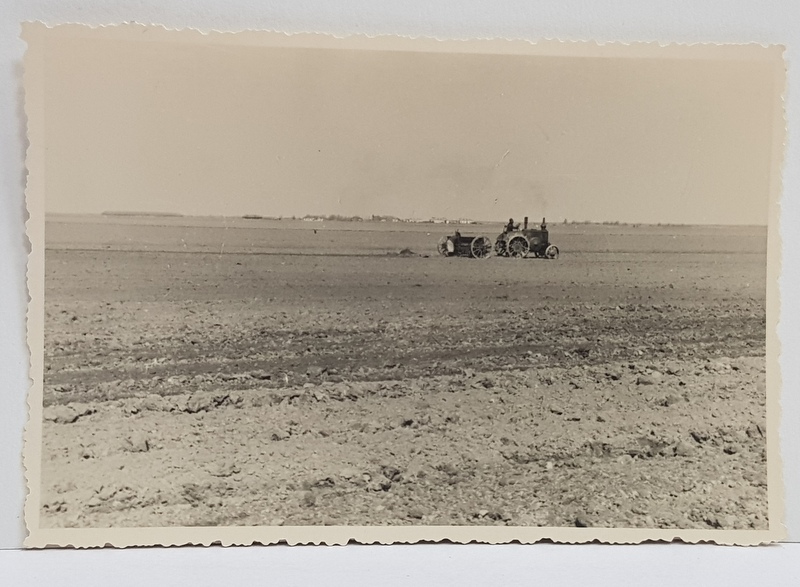 TRACTOR PE CAMP , FOTOGRAFIE TIP CARTE POSTALA , MONOCROMA, NECIRCULATA , PERIOADA INTERBELICA