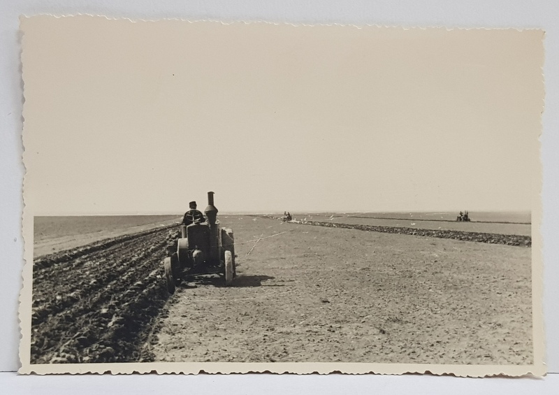 TRACTOR PE CAMP , LA ARAT , FOTOGRAFIE TIP CARTE POSTALA , MONOCROMA, NECIRCULATA , PERIOADA INTERBELICA