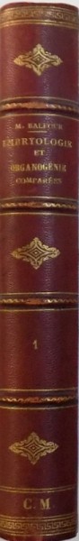 TRAITE D'EMBRYOLOGIE ET D'ORGANOGENIE COMPAREES par FRANCIS M. BALFOUR, 1883