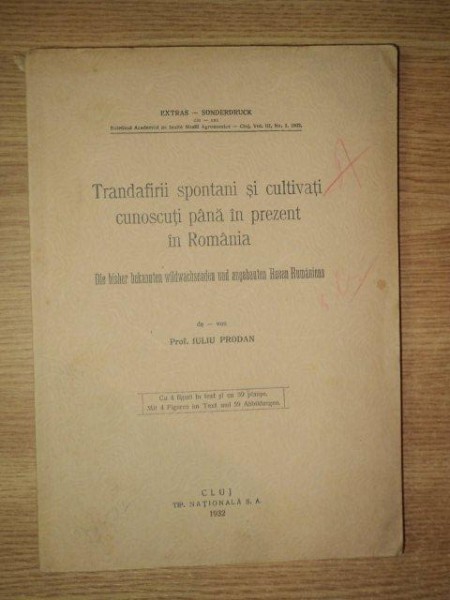 TRANDAFIRII SPONTANI SI CULTIVATI CUNOSCUTI PANA IN PREZENT IN ROMANIA de IULIU PRODAN, CLUJ 1932 * CU DEDICATIA AUTORULUI