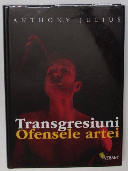 TRANSGRESIUNI - OFENSELE ARTEI - CU 174 DE ILUSTRATII , DIN CARE 41 COLOR de ANTHONY JULIUS , 2008