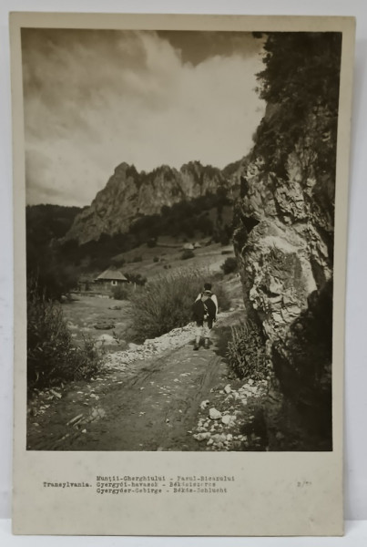 TRANSILVANIA ,  MUNTII GURGHIULUI , PASUL BICAZULUI , FOTOGRAFIE TIP CARTE POSTALA , INTERBELICA