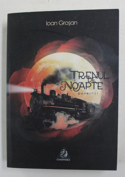 TRENUL DE NOAPTE - POVESTIRI de IOAN GROSAN , 2013