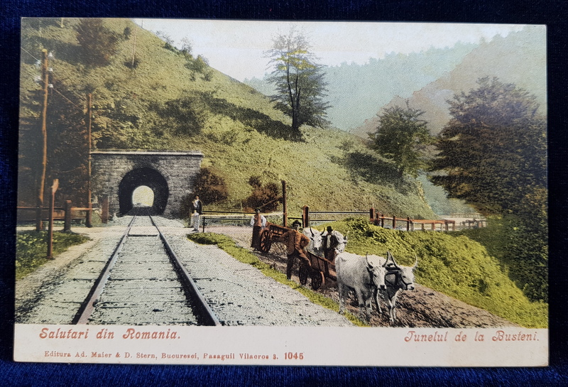 TUNELUL DE LA BUSTENI , CARTE POSTALA ILUSTRATA , POLICROMA, NECIRCULATA , CLASICA