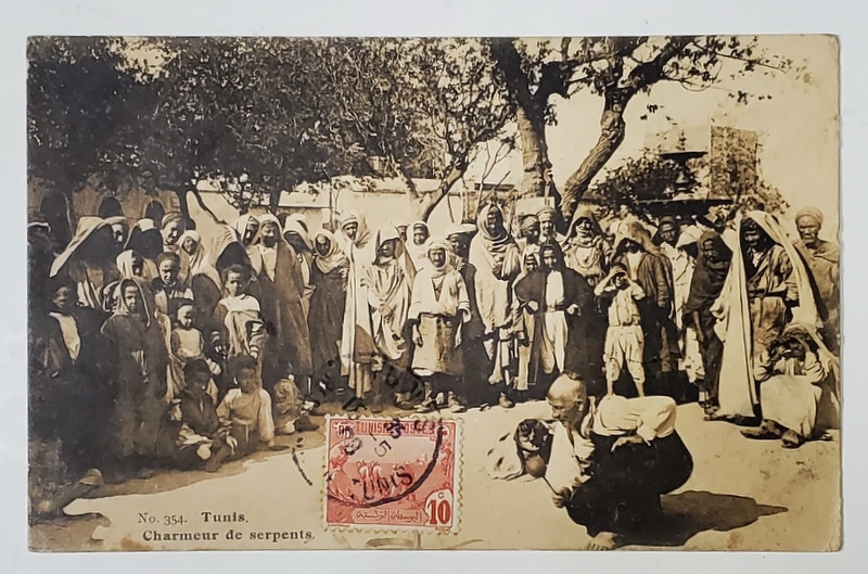 TUNIS , CHARMEUR DE SERPENTS , CARTE POSTALA ILUSTRATA , 1908