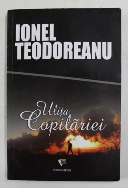 ULITA COPILARIEI de IONEL TEODOREANU , ANII '90