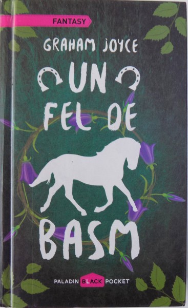 UN FEL DE BASM de GRAHAM JOYCE , 2012
