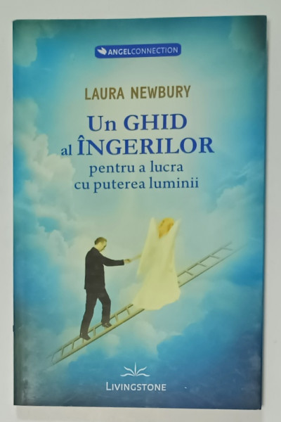 UN GHID AL INGERILOR PENTRU A LUCRA CU PUTEREA LUMINII de LAURA NEWBURY , 2012