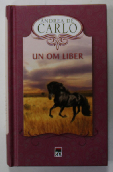 UN OM LIBER de ANDREA DE CARLO , 2013