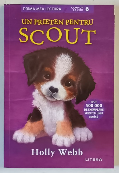 UN PRIETEN PENTRU SCOUT , ilustratii de SOPHY WILLIAMS , text de HOLLY WEB , 2018