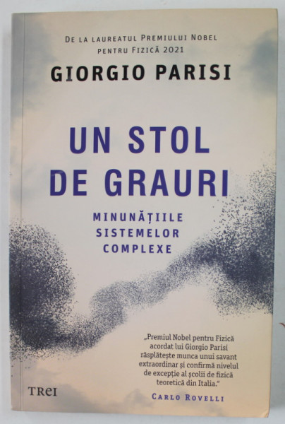 UN STOL DE GRAURI , MINUNATIILE SISTEMELOR COMPLEXE de GIORGIO PARISI , 2022