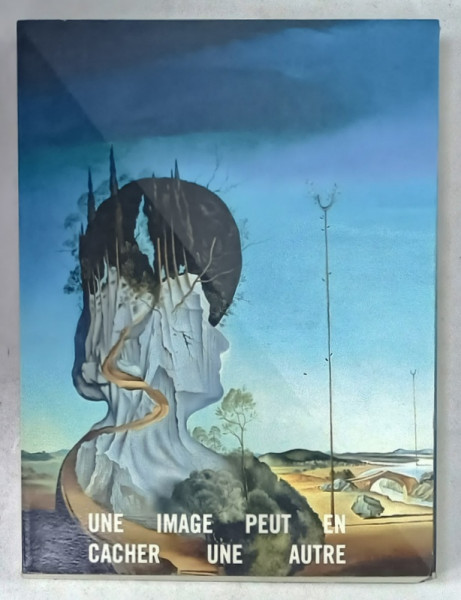 UNE IMAGE PEUT EN CACHER UNE AUTRE : ARCIMBOLDO , DALI , RAETZ par JEAN - HUBERT MARTIN , 2009, CONDITII GRAFICE DEOSEBITE *