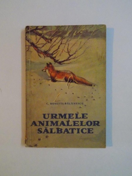 URMELE ANIMALELOR SALBATICE de C. ROSETTI-BALANESCU 1961