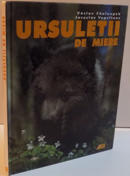 URSULETII DE MIERE ,2002