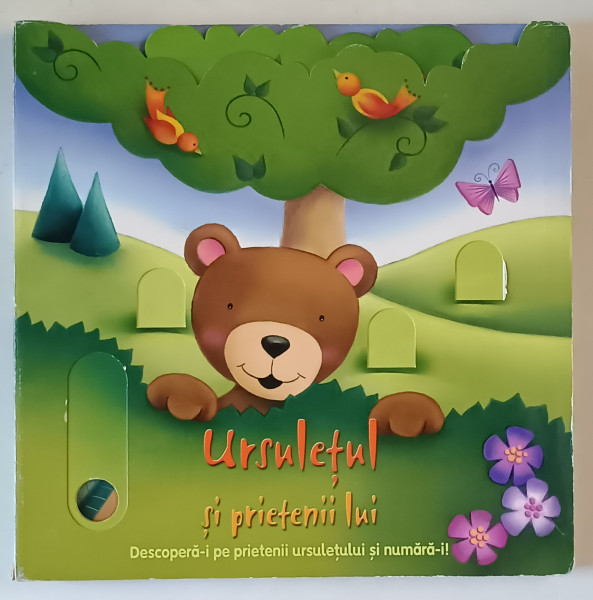 URSULETUL SI PRIETENII LUI , DESCOPERA- I PE PRIETENII URSULETULUI SI NUMARA  - I ! , 2008